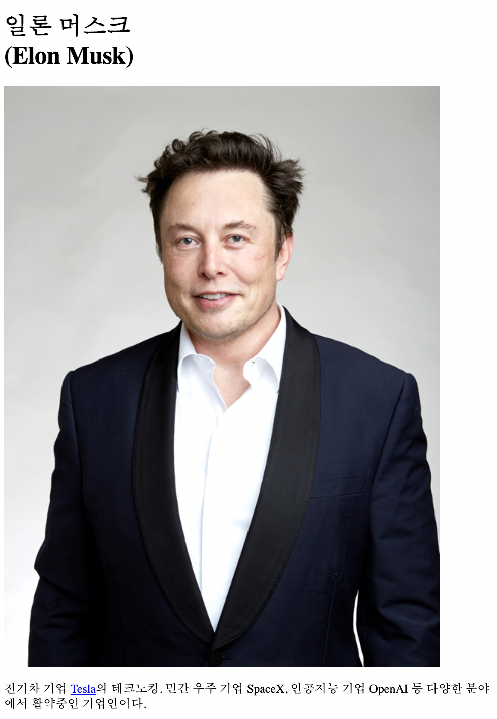 일론마스크